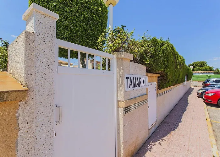 082 Tamarix Dream - Alicante *